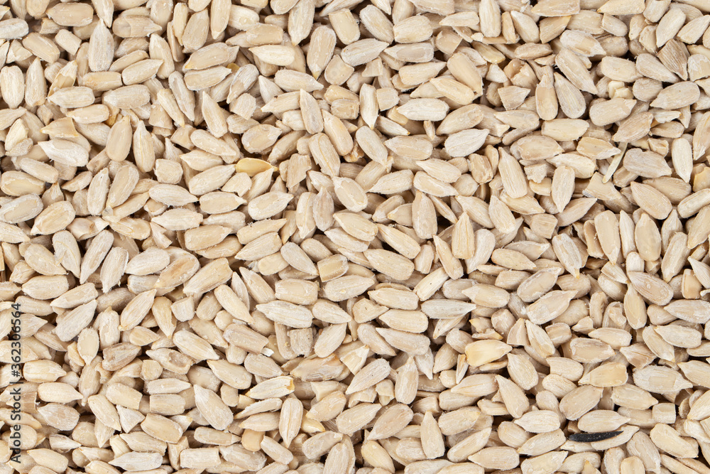 sunflower seeds background sunflower seeds background