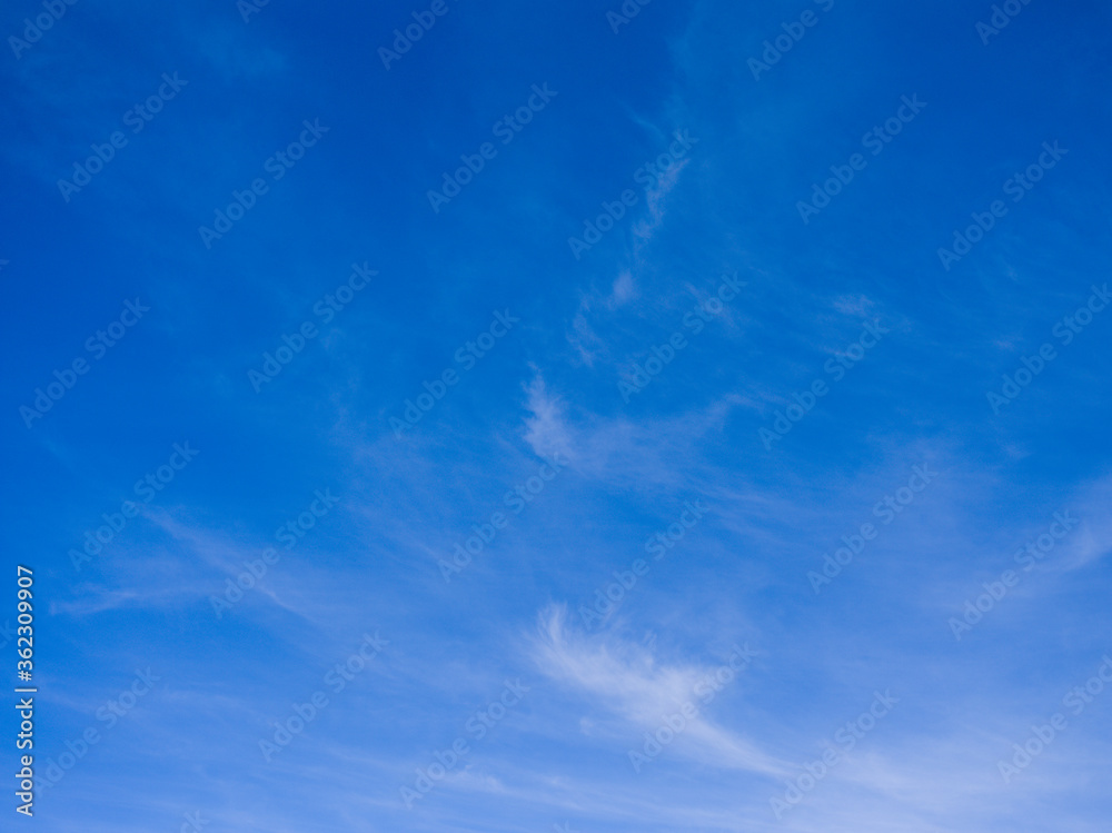 Fototapeta premium 空と雲