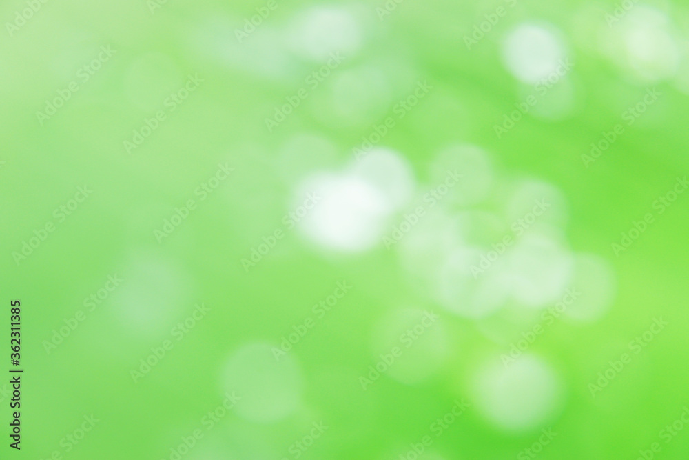 clear white circle bokeh blur abstract background from photo of water drop on banana leaf. clear white circle bokeh blur abstract background from photo of water drop on banana leaf.