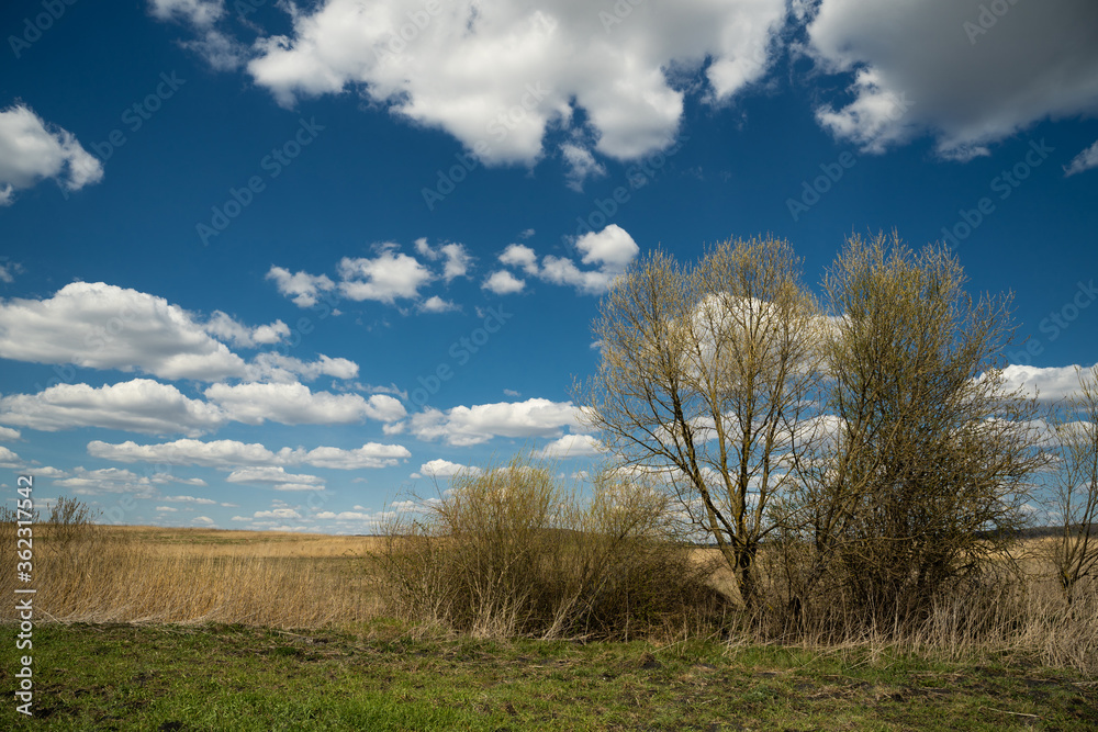 beautiful photo of blue sky with clouds and field in Ukraine