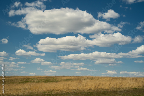beautiful photo of blue sky with clouds and field in Ukraine