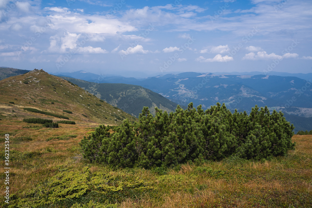 Naklejka premium beautiful picturesque photo of the Ukrainian mountains of the Carpathians