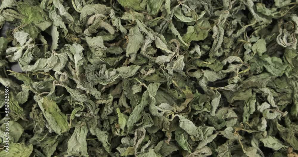 Panorama of a pile of dried mint leaves. Spice Panorama of a pile of dried mint leaves. Spice