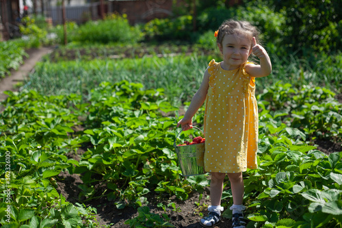 A girl holds a bucket of strawberries in her hands  and with her second hand shows a thumb up. A little girl in a yellow dress is standing in the garden. Happy childhood.