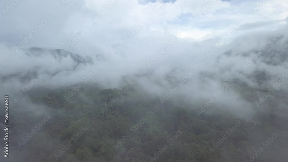 Aerial view 4k. The drone takes off from a white cloud and arrives a forest surrounded by mountains. A wide panorama opens over the rainforest and mountains and shrouded in clouds. Bali - Indonesia Aerial view 4k. The drone takes off from a white cloud and arrives a forest surrounded by mountains. A wide panorama opens over the rainforest and mountains and shrouded in clouds. Bali - Indonesia