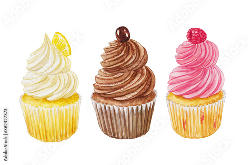 Watercolor set of cupcakes with raspberry  lemon and chocolate isolated on a white