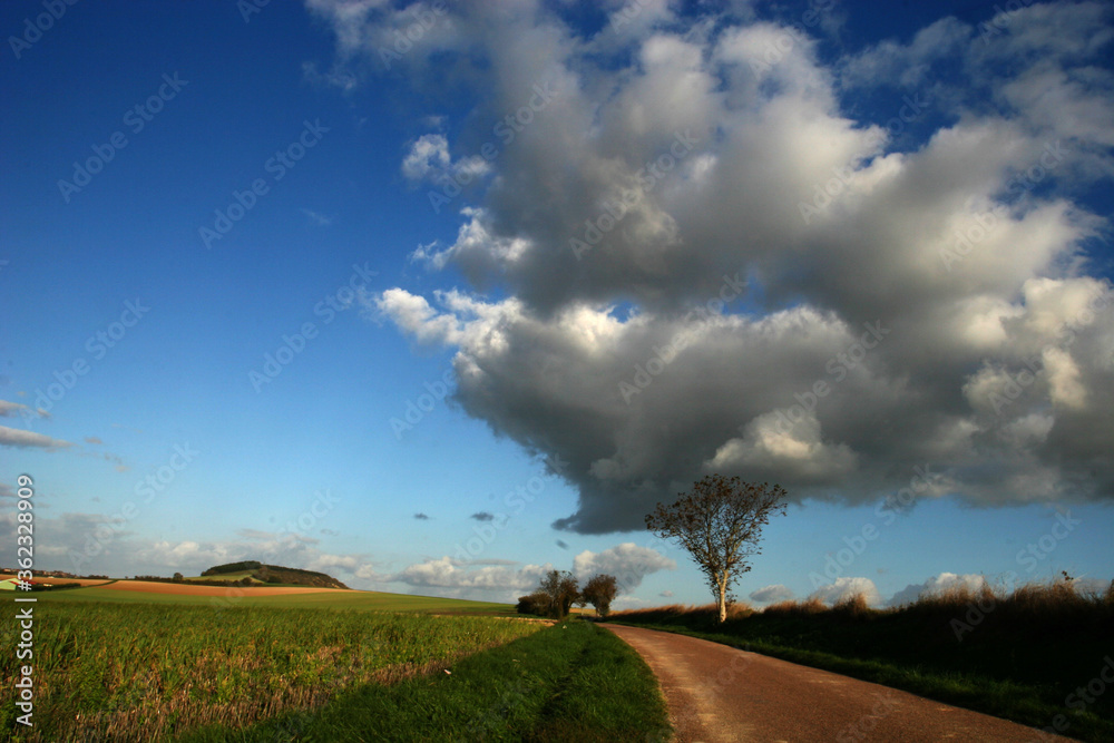 road to the sky road to the sky