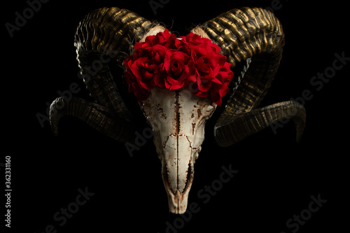 3d printed ram skull decorated with red roses