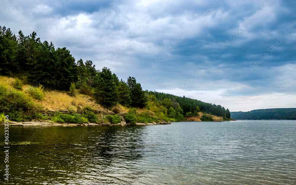 landscape of pine forest on Dniester river, National Nature Park Podilski tovtry, Khmelnytsky region of Western Ukraine