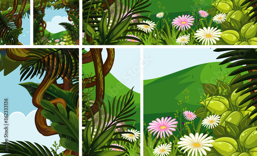 Set of jungle scene