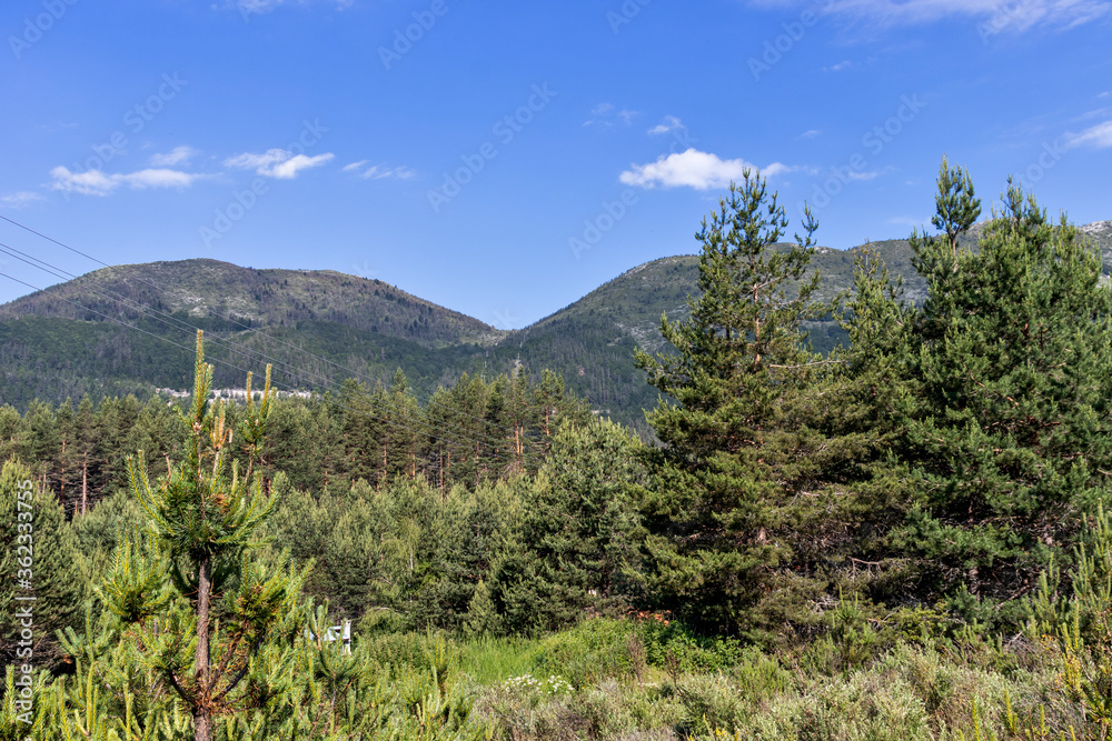 Popovi Livadi Area, Pirin Mountain, Bulgaria Popovi Livadi Area, Pirin Mountain, Bulgaria