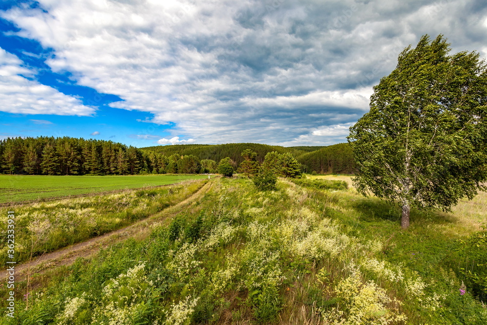 Field, trees on hills, road against blue sky with white clouds Field, trees on hills, road against blue sky with white clouds