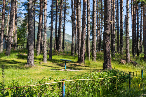 Popovi Livadi Area, Pirin Mountain, Bulgaria photo