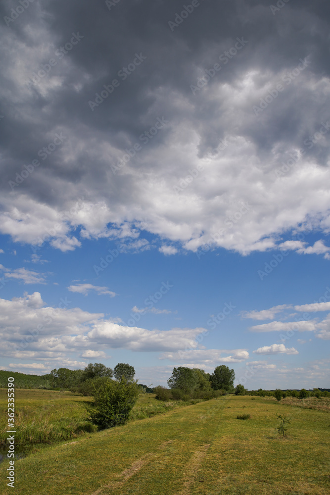 Empty meadow pasture for cows, cattle, lambs. On a cloudy but sunny summer day. Tápióbicske - Hungary