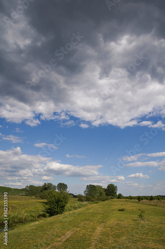 Empty meadow pasture for cows  cattle  lambs. On a cloudy but sunny summer day. T  pi  bicske - Hungary