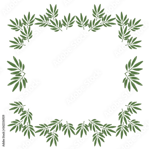 Fototapeta Naklejka Na Ścianę i Meble -  Wreath of bamboo leaves on a light background, frame vector