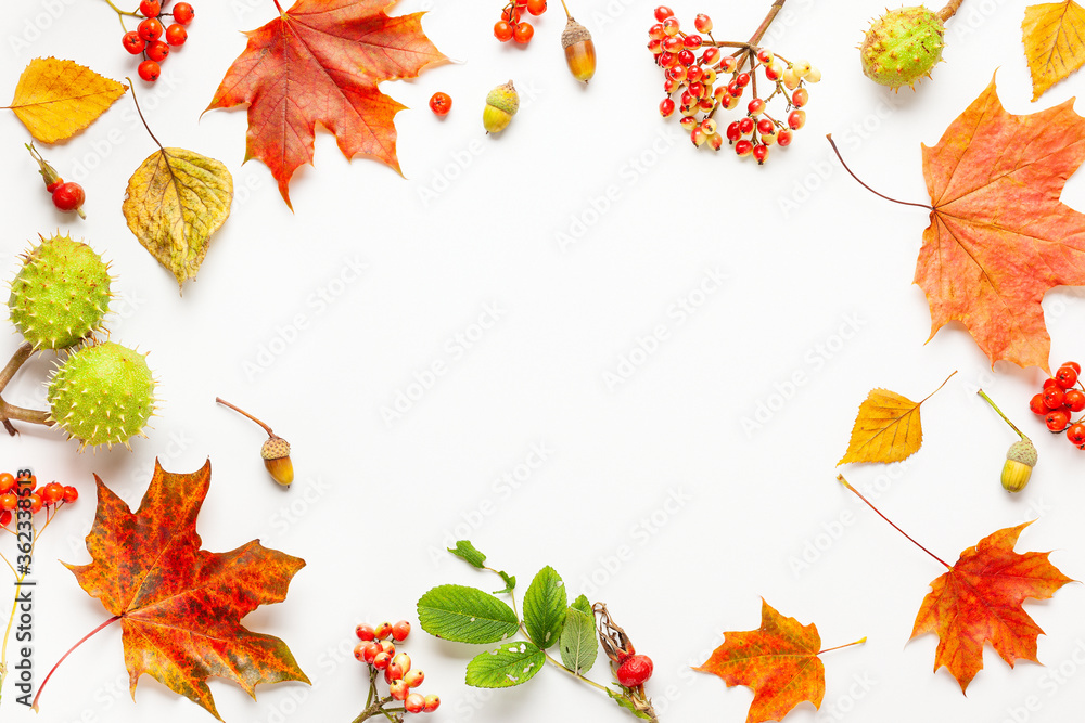 Autumn composition made of leaves, berries on white background. Autumn concept for Thanksgiving day or for other holidays. Flat lay, copy space.