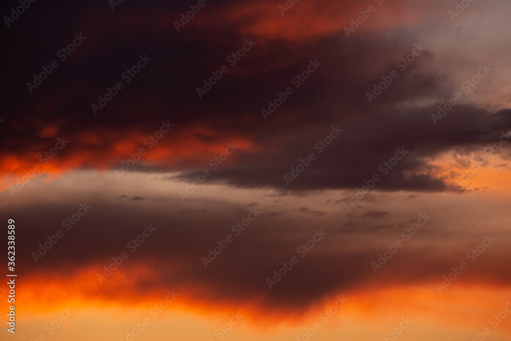 Pink clouds close up at sunset in the evening