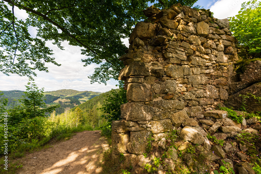 Fototapeta premium Burgruine Prandegg im Mühlviertel Oberösterreich