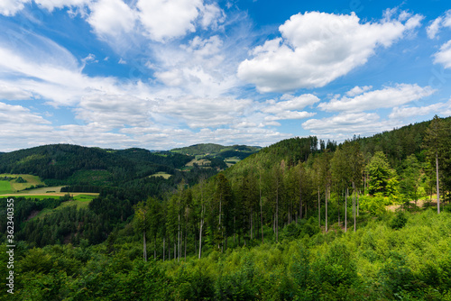 Panorama Ausblick von der Burgruine Prandegg im Mühlviertel Oberösterreich