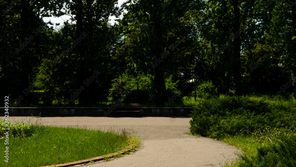 Fototapeta premium Beautiful views in the Silesian park in Chorzów. Ready for entry.