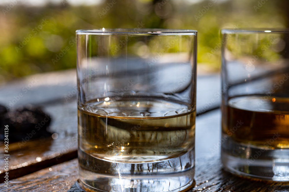 Tasting of scotch single malt whisky from Islay island, most intensely flavoured of all whiskies in Scotland Tasting of scotch single malt whisky from Islay island, most intensely flavoured of all whiskies in Scotland