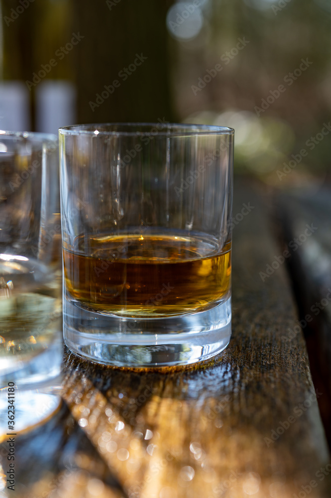 Tasting of scotch single malt whisky from Islay island, most intensely flavoured of all whiskies in Scotland Tasting of scotch single malt whisky from Islay island, most intensely flavoured of all whiskies in Scotland
