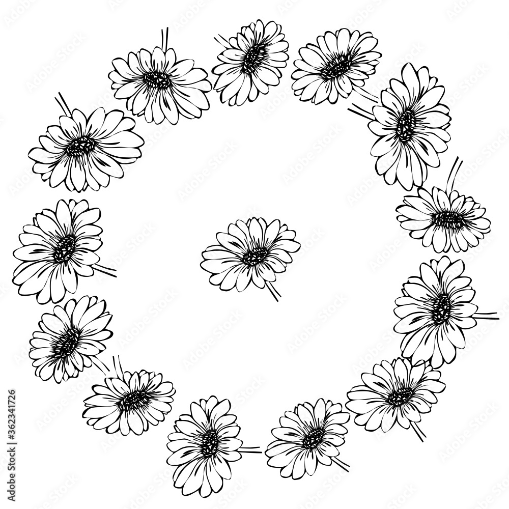 Obraz premium frame in monochrome colors, gerbera flowers, blooming background for cards, and various designs