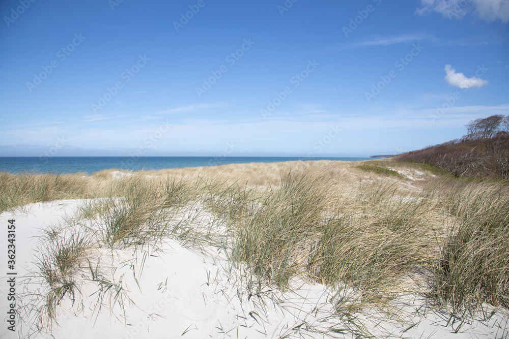 Baltic Sea Day At The Beach