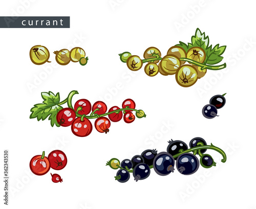 sketch_currant_set_black_white_red