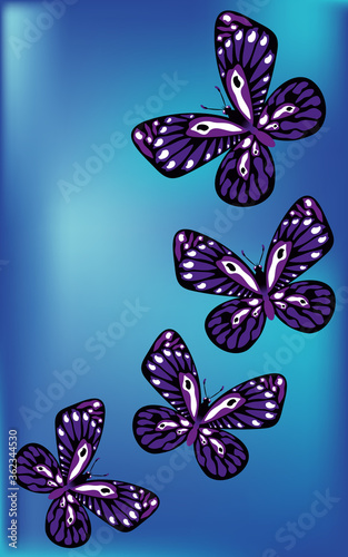 Blue butterflies on white background