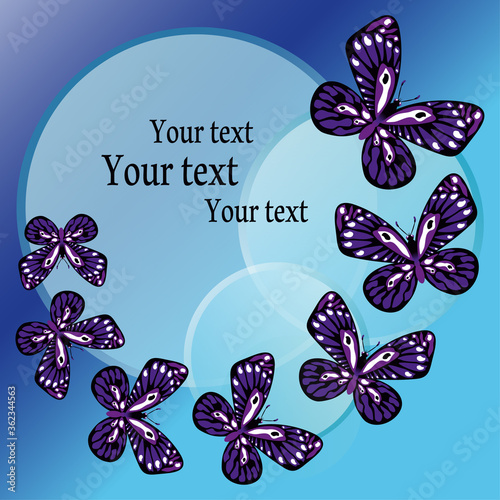 Blue butterflies on white background