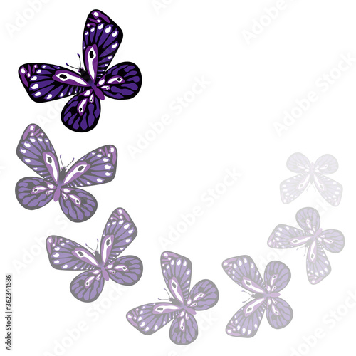 Blue butterflies on white background