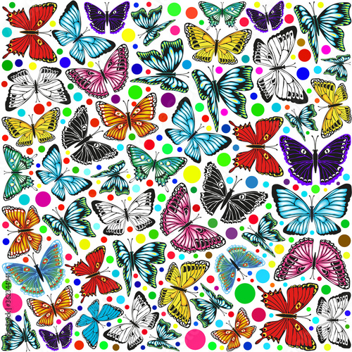 Set of colorful butterflies on white background