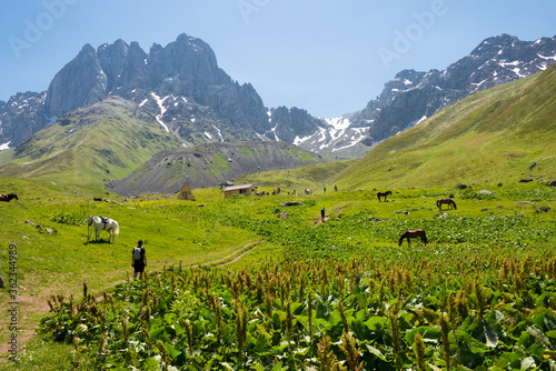Juta valley near Caucasus mountain. a famous landscape in Kazbegi, Mtskheta-Mtianeti, Georgia.