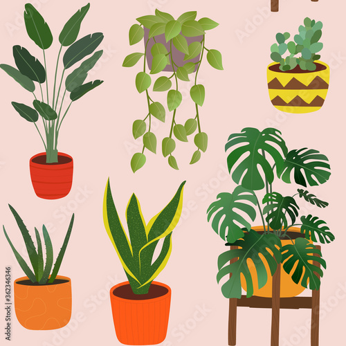 Modern seamless pattern with different house plants. Caring for indoor plants. Hobby. Vector flat background