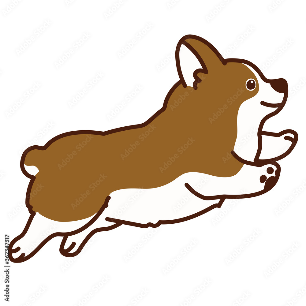 Fototapeta premium Outlined brown Corgi jumping in side view