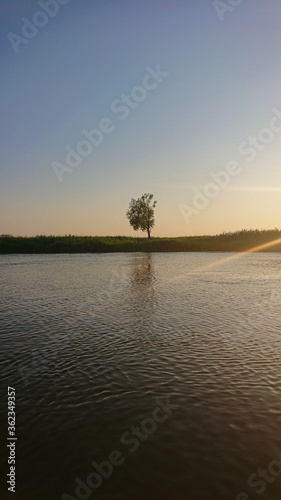 River in Odessa region  nature at sunset