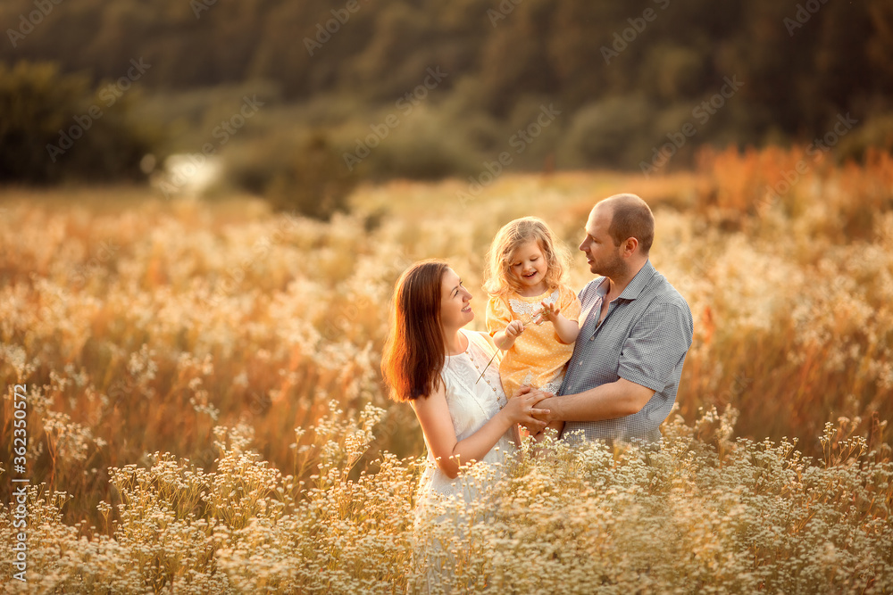 Mom, dad and their little daughter are having fun in a chamomile field near the forest. They are hugging and laughing. Image with selective focus. Mom, dad and their little daughter are having fun in a chamomile field near the forest. They are hugging and laughing. Image with selective focus.