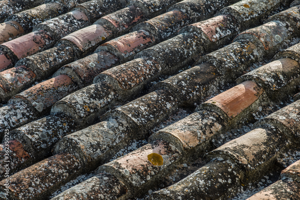 Traditional old weathered terracotta roof tiles in Lucca, Italy Traditional old weathered terracotta roof tiles in Lucca, Italy