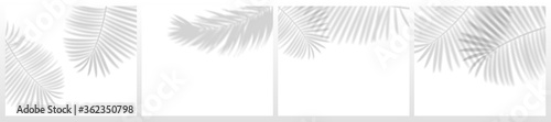 Tropical leaves shadows. Blurry palm plant leaf shadow, realistic nature light decoration overlay effect vector set. Shadow palm realistic overlay, transparent effect illustration
