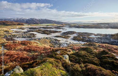 Landscape of low tide water and white sands at Mora Scotland Scottish highlands in winter with bright colors of winter heather capture in the sunlight 