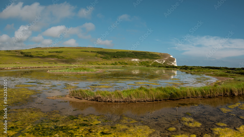 Seven sisters cliffs from Cuckmere Valley 