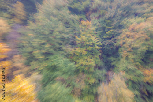 autumn forest on a bright sunny day. Abstract photo. Colorful textured background. long shutter speed.