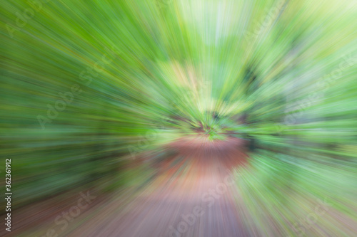 summar forest road on a bright sunny day. Abstract photo. Colorful textured background. long shutter speed. photo