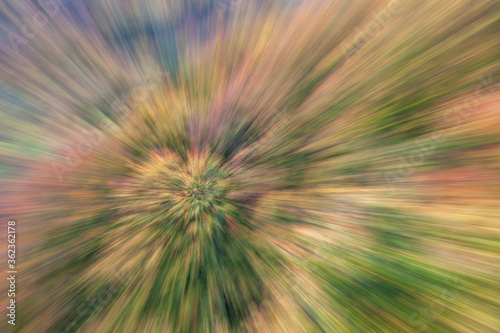 autumn forest on a bright sunny day. Abstract photo. Colorful textured background. long shutter speed.