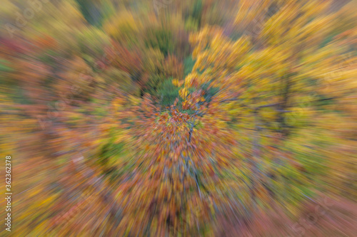 Abstract photo. Autumn forest on a bright sunny day. Colorful textured background. long shutter speed.