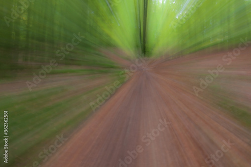 summar forest road on a bright sunny day. Abstract photo. Colorful textured background. long shutter speed.