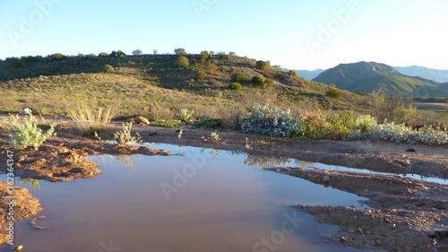 Rainwater Puddle on a Karoo Dirt Road with Hill and Mountains
