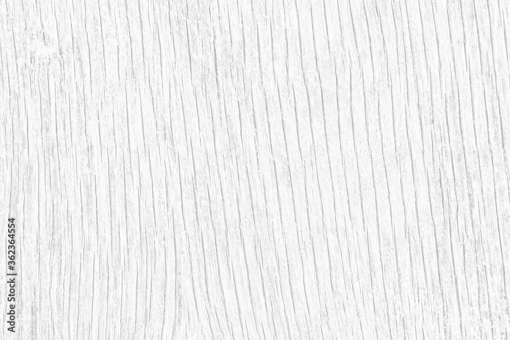Light bleached wood texture. The texture of the old dried plywood. Background from light gray wood for design. Light bleached wood texture. The texture of the old dried plywood. Background from light gray wood for design.